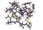 File:1EDP human <b>endothelin1</b>