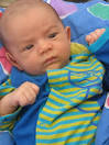 Arvid & Hannes Carlsson -