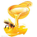 honey nature
