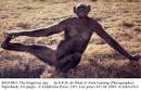 BIBLIOGRAPHY ON BONOBOS xxxx