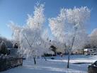 I noticed on the MSN website that temperatures in Powys fell to -17 - via Daymix