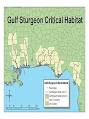 Gulf sturgeon - Wikipedia, the free encyclopedia