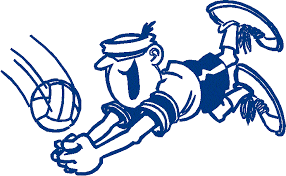 pallavolo