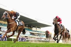 Horse Racing - Horse Betting Tips 