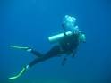 James Bryant, Ph.D. - Scuba Diving