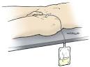 Anatomy Atlases: Anatomy of First Aid: A Case Study Approach ...