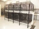 Kennel Cages, Kennel Cage, Commercial Kennel Cages, Commercial ...