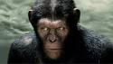 Rise of the Planet of the Apes