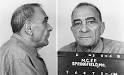 lacndb.com::American Mafia