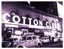 Harlem History: The Cotton Club