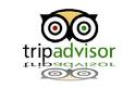 TRIPADVISOR CEO admits minor security breach in email to members