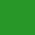 vert pronunciation