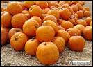 The World of Gourds