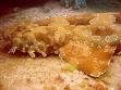 Carpet shark - Wikipedia, the free encyclopedia