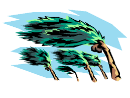 storm