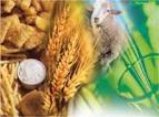 http://www.sudarshanorganics.com/newimg/093951agro1.jpg