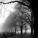 black and white nature | Space For Photography