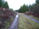 This area of forest is owned by Frank Batten of Norfolk, Virginia. - via Daymix