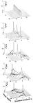 Photon Ultra Weak Photon Emission