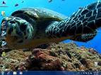 Screenshot, Review, Downloads of Shareware DreamScene Video Wallpaper