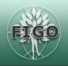 International Federation of Gynaecology and Obstetrics - Wikipedia ...