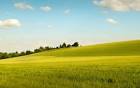 Photo: Afternoon Sunshine through the Field 1920*120035 - Wallcoo.