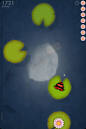 frog jumping at screen