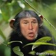 peachy to call Georg Bush - images?q=tbn:ANd9GcTv3YGmbrMiKR7lBSIFHReEKQw5JzzCW0zGGXiCa01ar6Ar3YtxQGroYA