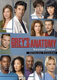 Grey's Anatomy S03E21-22