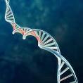 Gene Therapy Treatment for Blindness Proves Safe--and Effective ...