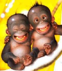 http://t2.gstatic.com/images?q=tbn:ANd9GcTvEiuYBSEI54IhamfWJV3_W8iv_KWt9SuymOQjt5Hx7_WXepQk