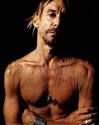 appointment of Iggy Pop as