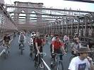 TIME'S UP! :: NYC Direct Action Environmental Organization ...