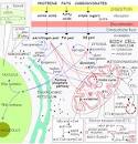 Cellular metabolism