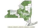 New York - Sullivan One of the Most Unhealthy Counties in State ...