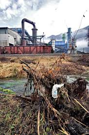 Ambiente: per la Bassa un 2010 da dimenticare, di Pietro Gorlani 
