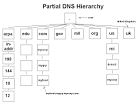 DNS