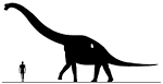 How tallweird was Sauroposeidon? « Sauropod Vertebra Picture of ...