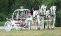 http://happytalespets.com/carriagerentals/index_files/bxpumpkincarriage.jpg