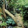Mi Jard&Atilde;&shy;n. Avances hasta el momento - INFOJARDIN