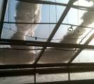Bubble Greenhouse