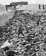 Bergen-Belsen concentration camp - Wikipedia, the free encyclopedia