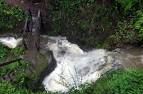 Berkeley's creeks are running high | Berkeleyside