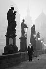 Karlův most - černobílá slečna | Fotopraha.