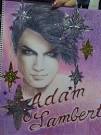 Adam Lambert Colorful Adam FYE