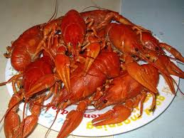 images?q=tbn:ANd9GcTyLbcE16hCJ24WUHFuYnKRkhVGavMQnzaqfVIYa_8EYPZ3OPGg