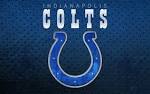 colts | Adam Lucas Designs