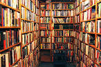 Bibliophile by ~breath-defying on deviantART