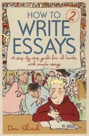 example essay