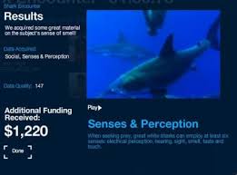 real sharks